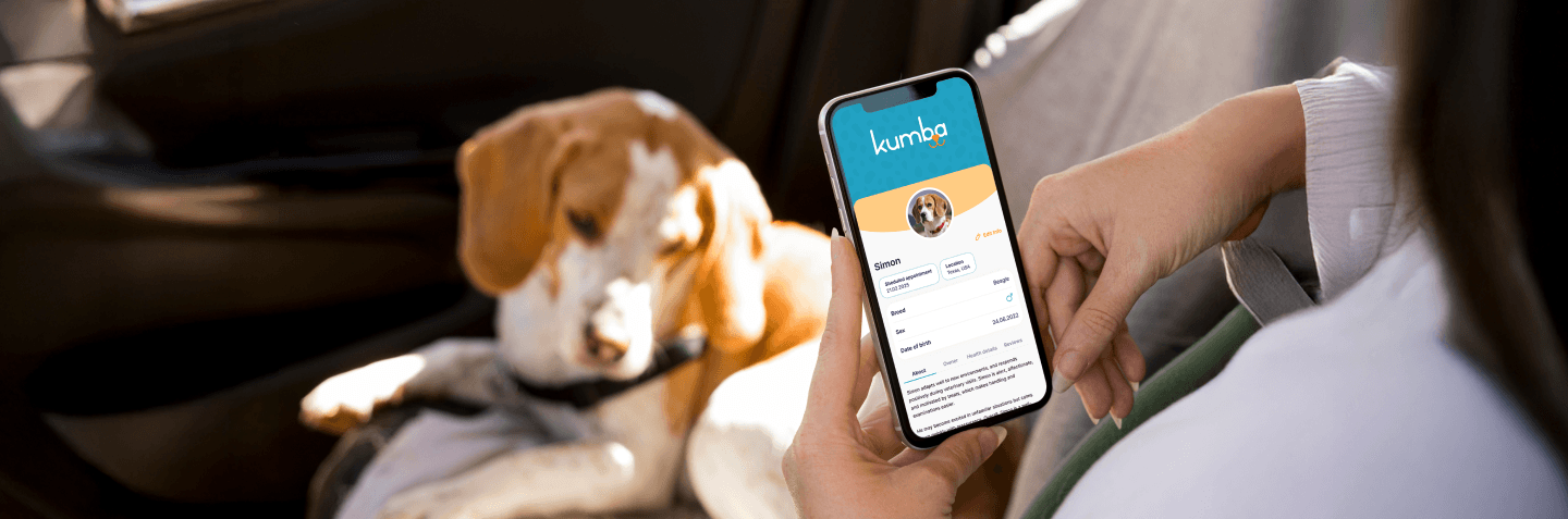 Web App Modernization for Vet Appointment Booking – Kumba