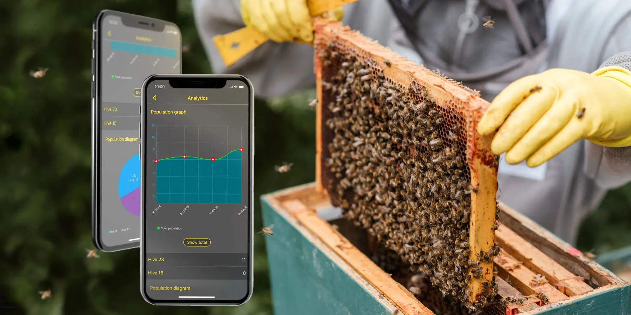 Beeguard