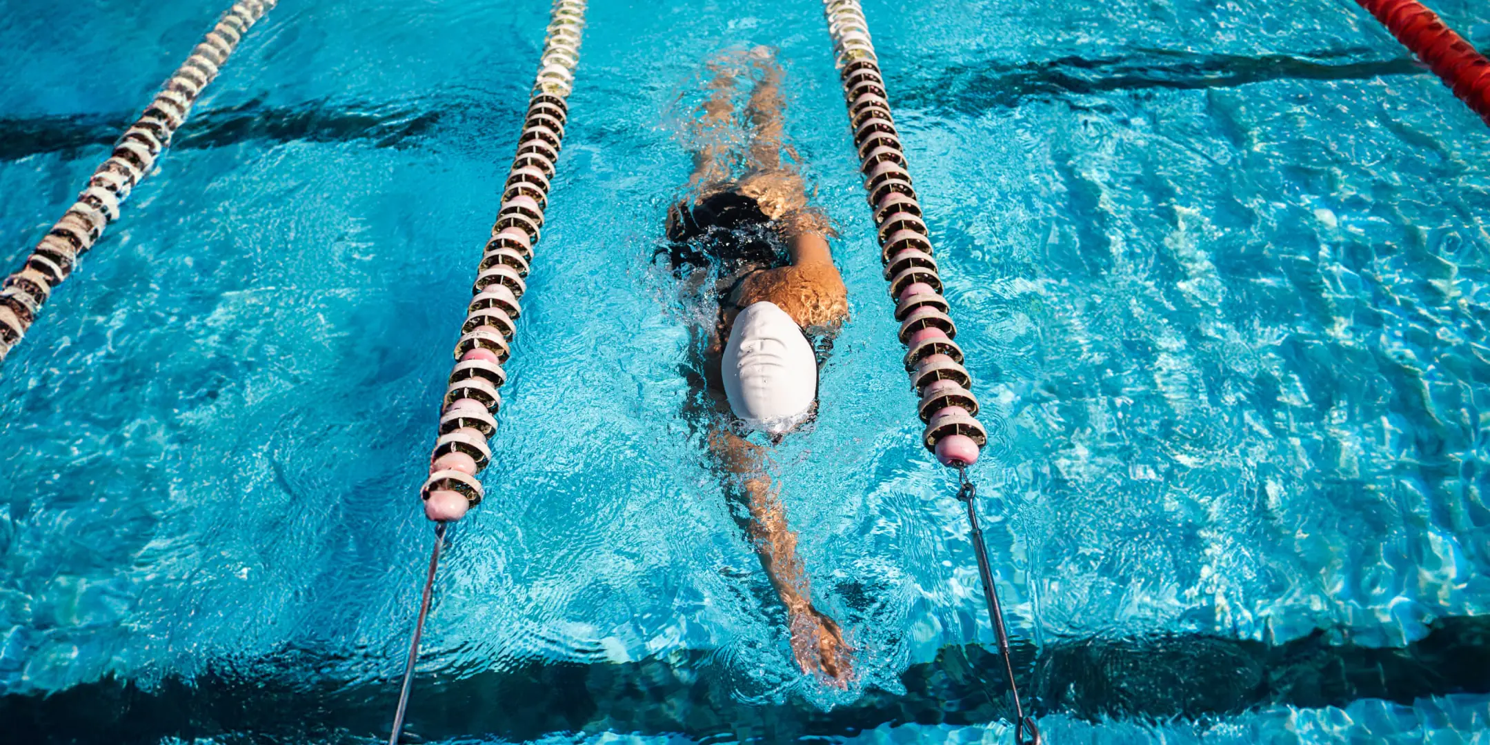 Dive Live